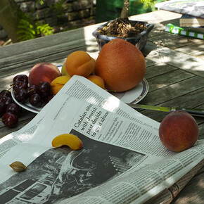 Marie José Burki «Un chien sur la route, au passage du promeneur», 2017. Filme a cores, som, 33’ 43’’. 3 vídeos para 3 projeções sincronizadas. Produzido com o apoio do Centre National des Arts Plastiques, Paris, Fédération Wallonie-Bruxelles, Centre Régional de la Photographie, Douchy les Mines e Kunsthaus Pasquart, Bienne.