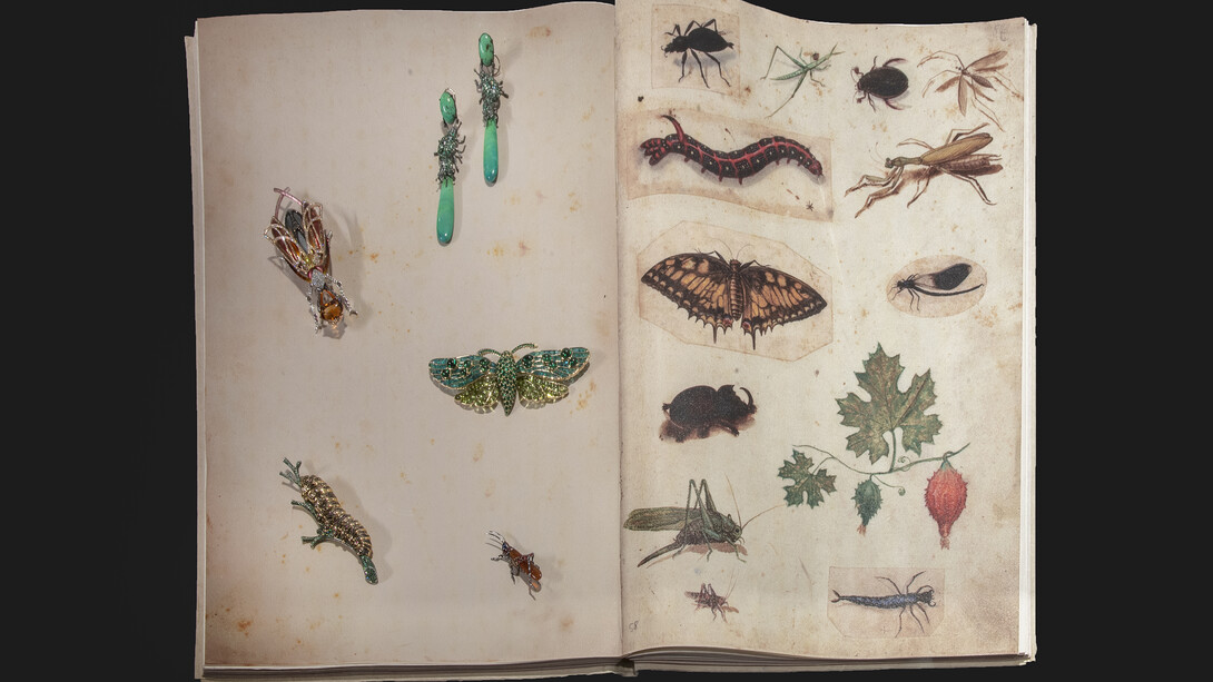 © Antonio Quattrone
Gioielli dall’alto verso il basso in senso orario 
Lydia Courteille
Orecchini insetto
2017

Hemmerle 
Spilla farfalla 
2004

Roberto Coin
Spilla grillo
Animalier Collection, 2015

Chopard
Spilla bruco
Animal world Collection, 2010

Lorenz Baümer
Spilla “Scarabée d’automne”
2016
