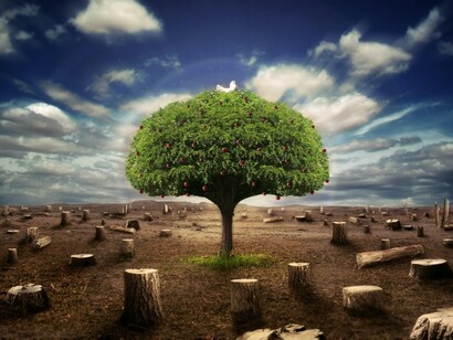 The impact of economy in the world