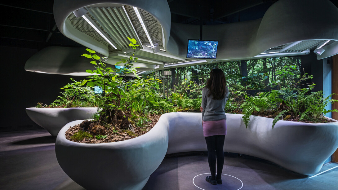 Lab of Silence. Courtesy of National Museum of Agriculture