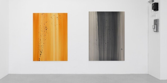 Compact Chaos. Courtesy of Ribordy Contemporary