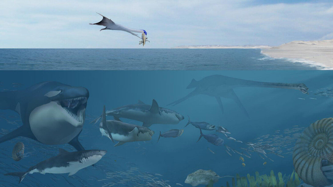 Sea Monsters Unearthed. Courtesy of Smithsonian's National Museum of Natural History