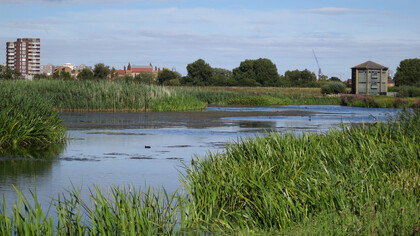 London Wetland © Gehan de Silva Wijeyeratne
