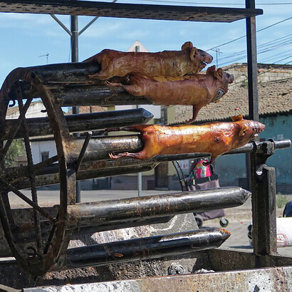 El cuy chactado, frito al estilo arequipeño, ofrece una textura crocante y un sabor intenso que conquista a los paladares más osados