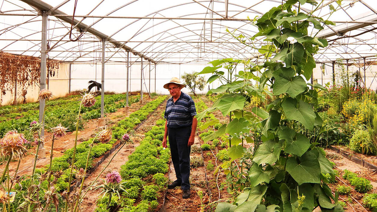 Josep Pàmies, agricultor y defensor de las plantas medicinales en su vivero en Cataluña, España