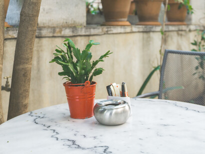 Terraza en la parte exterior de un café-restaurante