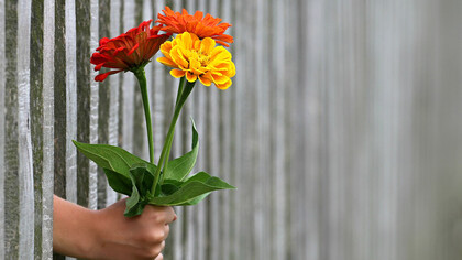 Dare, ricevere, contraccambiare