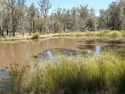Humedal intermitente en el Parque National de Pilliga, Australia