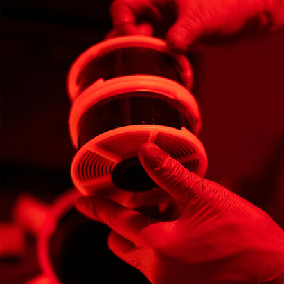 Rolo de filme. Jamais pude esquecer estas palavras, pois nelas revi aquela que é também a minha conceção do cinema