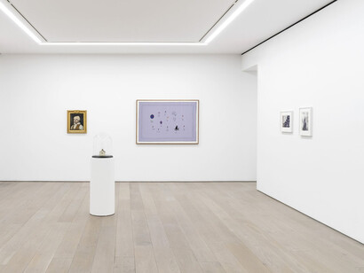 Various artists, A strange familiar, exhibition view. Courtesy of Perrotin