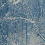 Franz Gertsch, Portraits and nature pieces, artwork in exhibition. Courtesy of Museum Franz Gertsch