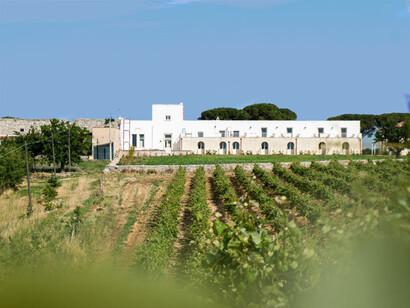 Masseria Zucaro: un'oasi di tranquillità nella Murgia pugliese, dove storia, natura e comfort si fondono armoniosamente. Puglia, Italia