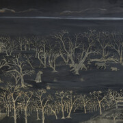 Chirag Patel, Gir landscape, 2017. Courtesy of Akar Prakar