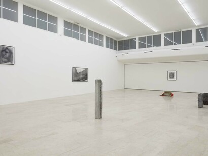 Foreign bodies. John Coplans & June Crespo, installation view, 2018, P420 Bologna. Ph C. Favero