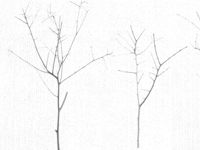 Giulio Cerocchi,Territori innevati 3 (dettaglio)  