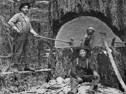 It’s Raining Cats and Dogs. Courtesy of MOHAI