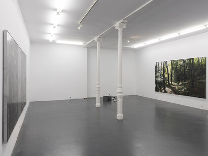 Álvaro Negro, El tambor en el bosque, Vista general de la exposición