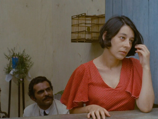 Cena da adaptação cinematográfica de São Bernardo. Para Bergamini (2008), após a morte de Madalena, Paulo enfrenta o isolamento e a deterioração de sua propriedade, revelando a fragilidade de um sistema baseado na força e na opressão. Outra abordagem que a obra nos permite realizar é a temática emocional. A tragédia pessoal da professora, que culmina no suicídio, é considerada emblemática a partir do ponto de vista resistência ou consequência silenciosa às opressões estruturais e patriarcais