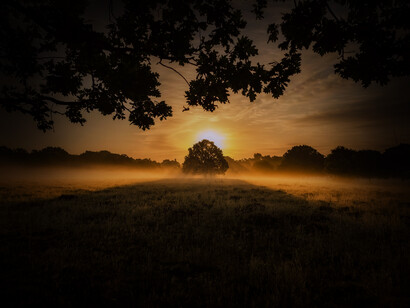 El secreto de la motivación es a conocerse a sí mismo