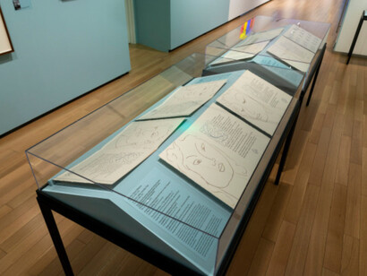 Matisse and Martinique: portraits and poetry, exhibition view. Courtesy of BMA