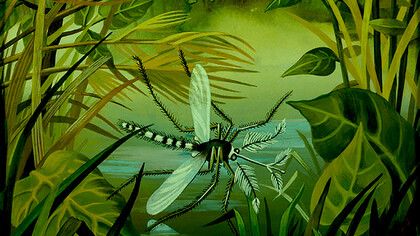 «Paludismo», detalle, Remedios Varo (1947)