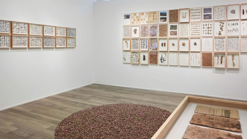 Herman De Vries, Exhibition view. Courtesy of Cortesi Gallery