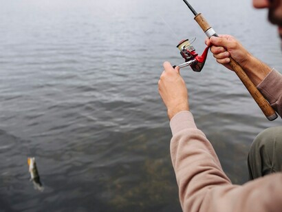 Un pescado. Fíjate vos que jodido el pejecillo, fregadísimo en el agua, pero una vez que lo agarré comenzó a brincar como loco. El regalo del agua