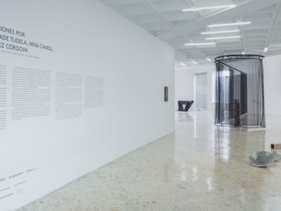 Ayrton, Exhibition view. Courtesy of Museo Tamayo