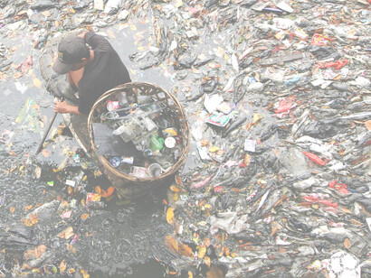 Un articolo pubblicato sulla rivista "Nature Communications" riporta una ricerca su piante e animali che stanno colonizzando la cosiddetta isola di plastica nel Pacifico