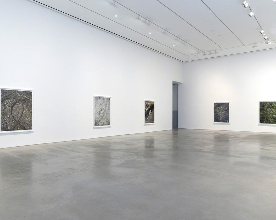 Stephen Shore. Courtesy of 303 Gallery