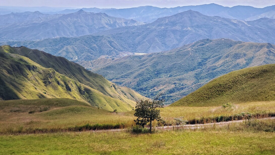 Venezuela, Tasajera 