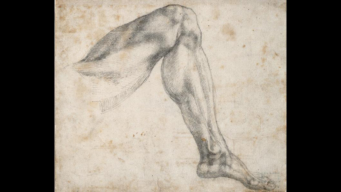 Michelangelo: Mind of the Master. Courtesy of Cleveland Museum of Art