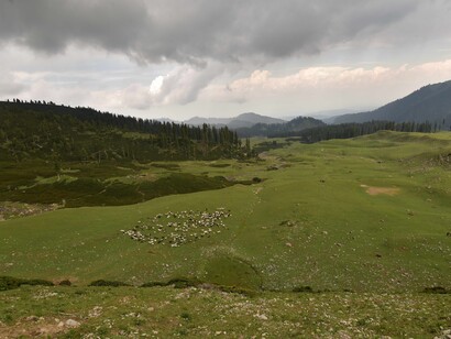 Tosamaidan landscape, Kashmir, India - freed from armed forces occupation for shelling practice @ Ashish Kothari