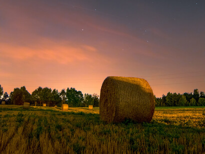 Campagna