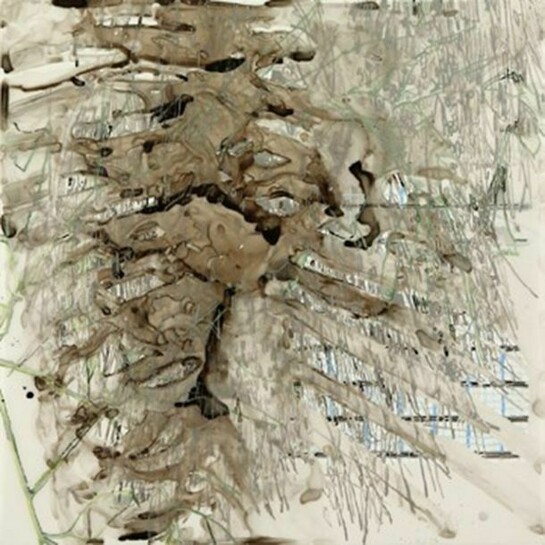 Katina Huston, Taxonomy, 2014, Ink on mylar, 24 x 24 inches