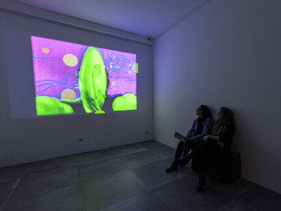 Luis Gómez Armenteros, Comanche (The enemy of everyone), exhibition view. Courtesy of Fabbrica del Vapore and The Place 