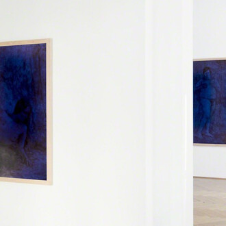 Jan Fabre. Courtesy of Galerie Klüser
