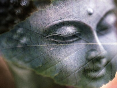 Buddha. Il concetto portante del buddhismo è che la sofferenza è inevitabile
