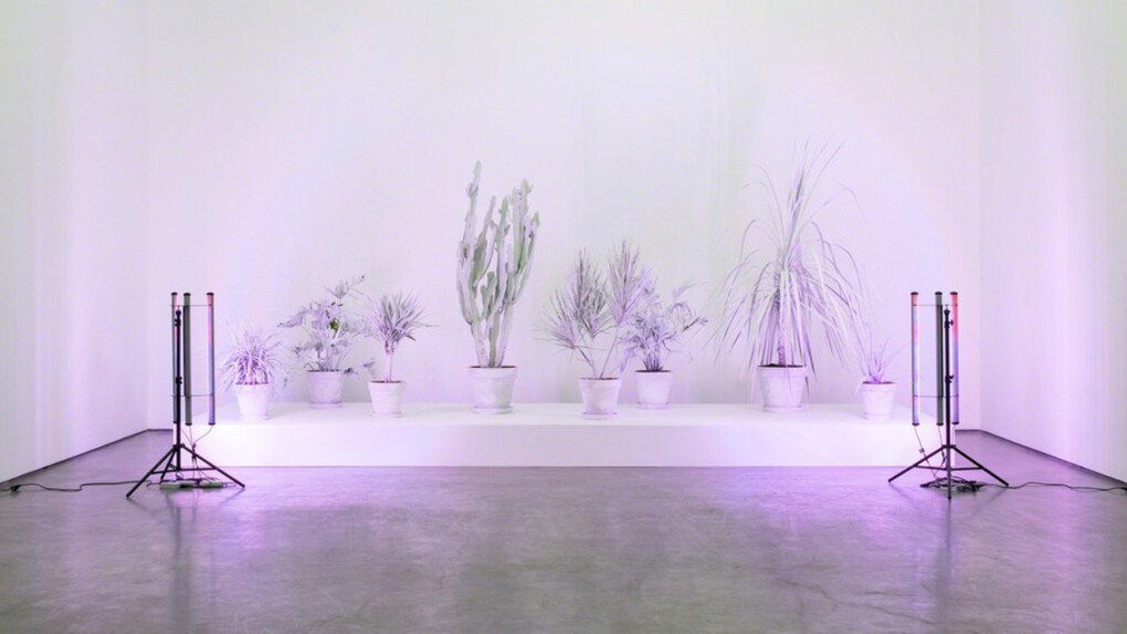 Andrew Dadson. Courtesy of The Contemporary Art Gallery