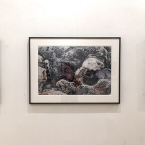 Portraits of Point Lobos. Courtesy of Viridian Artists