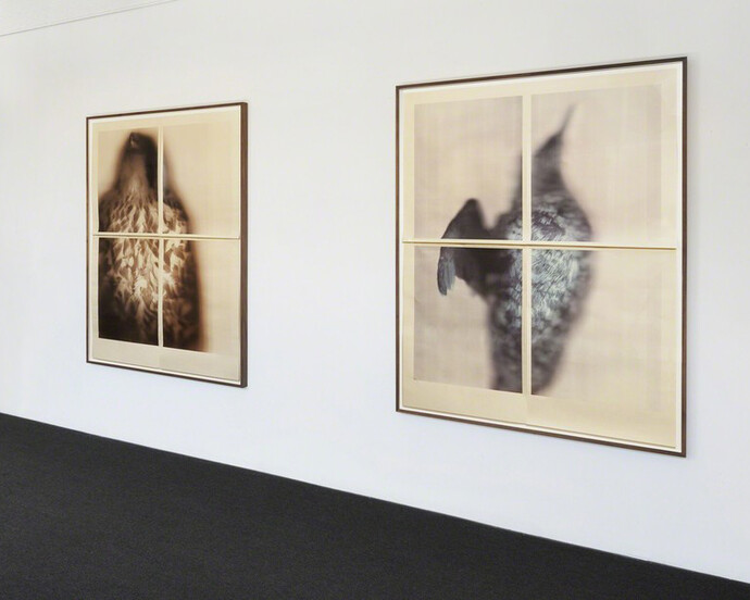 Ann Hamilton, Exhibition view. Courtesy of Gemini G.E.L.