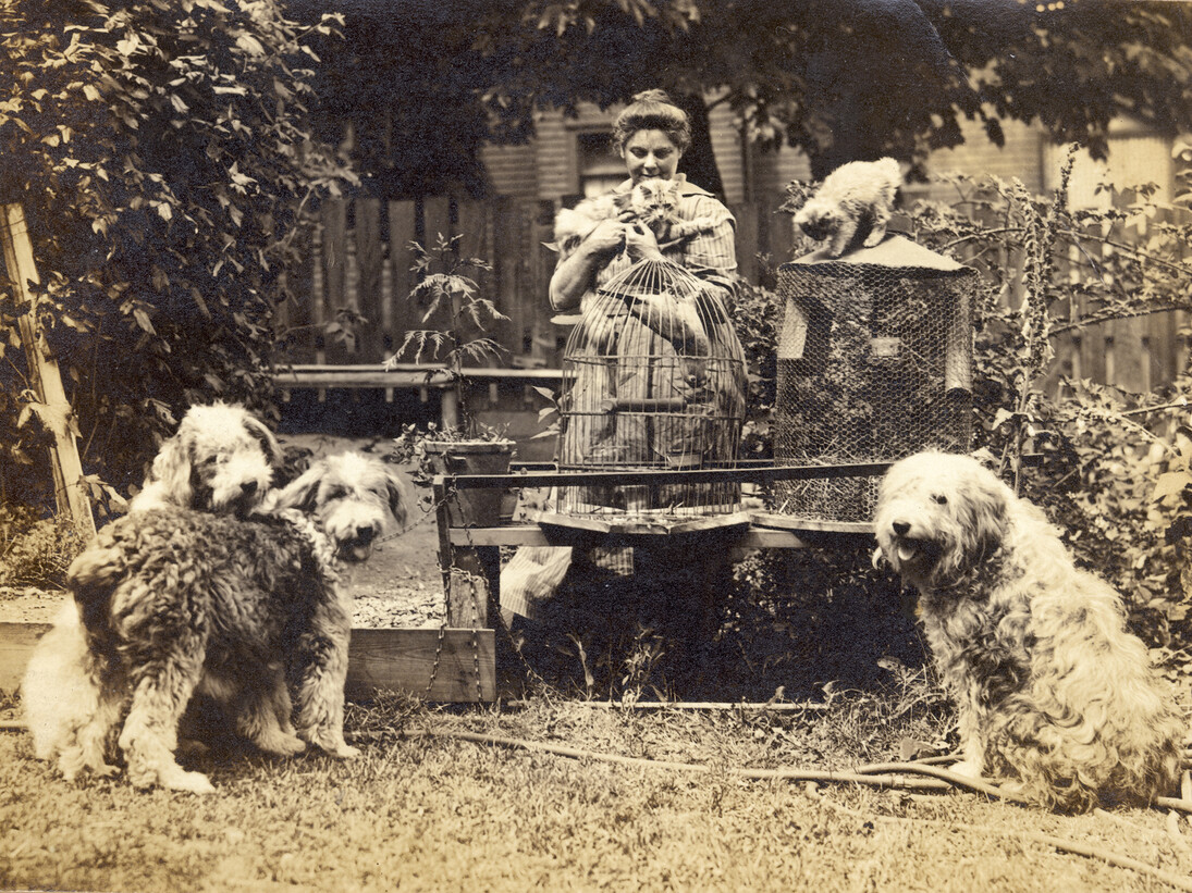 Emily Carr and pets in her garden at 646 Simcoe Street, Victoria, British Columbia, c. 1918. Image C-05229, courtesy of the Royal BC Museum, BC Archives