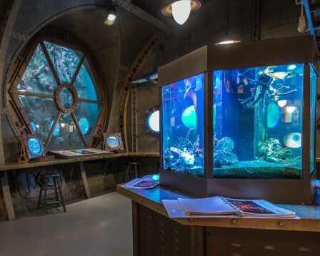 Natural History. Courtesy of Royal BC Museum 