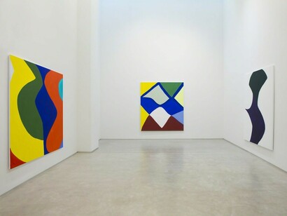 Marina Adams. Soft Power, Exhibition view. Courtesy of Salon 94