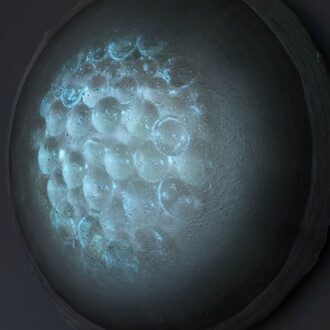 Fabio Modica. Courtesy of Whitestone Gallery