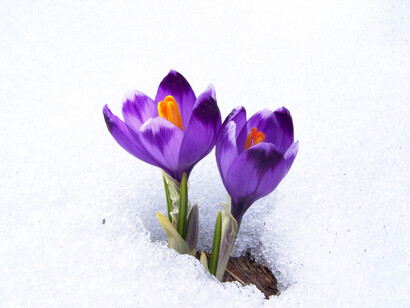 Ser mejor es un camino inhóspito y desconocido, pero apasionante