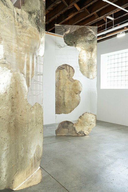 Rosalind Tallmadge, Pareidolia, exhibition view. Courtesy of Carvalho Gallery