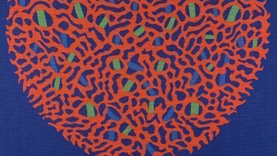 Patrick Scott, Device, 1971, Aubusson tapestry, Woven by Tabard Frères et Souers, Aubusson, France, 148.6 x 120.6 cm , Collection Irish Museum of Modern Art, Heritage Gift, Heritage Gift, P.J. Carroll & Co. Ltd. Art Collection, 2005