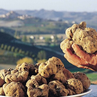 La 20ma Fiera nazionale del tartufo bianco