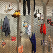 Golden Thread Gallery